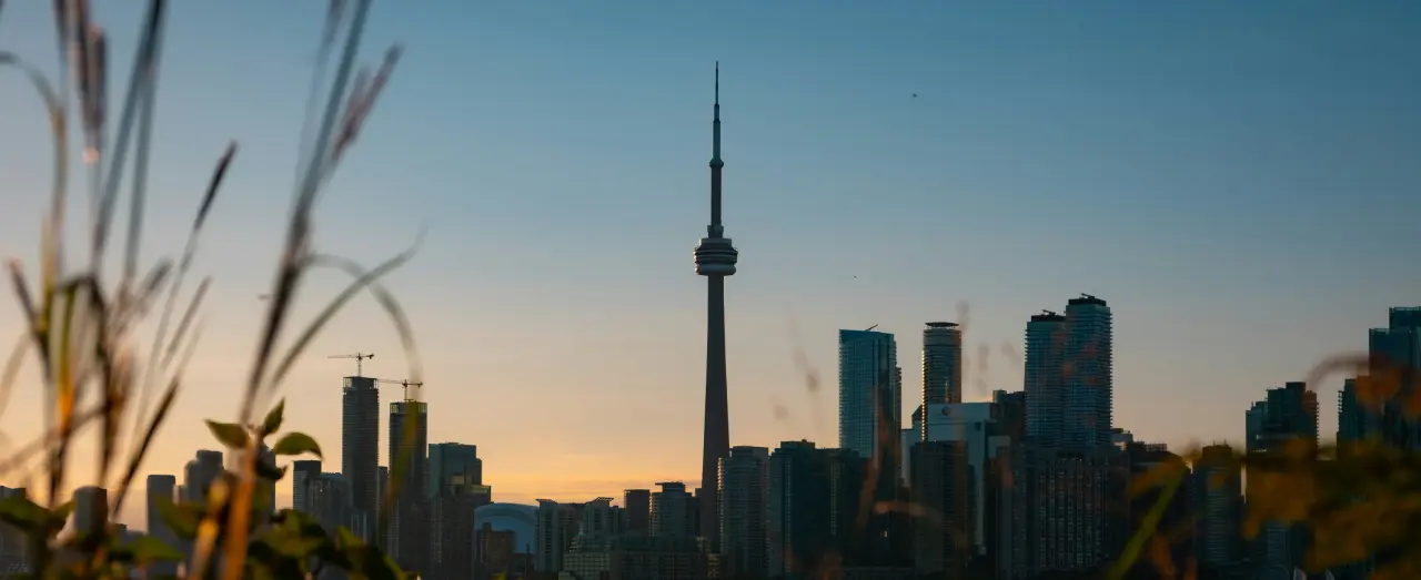 Top 6 MS Programs in Canada
